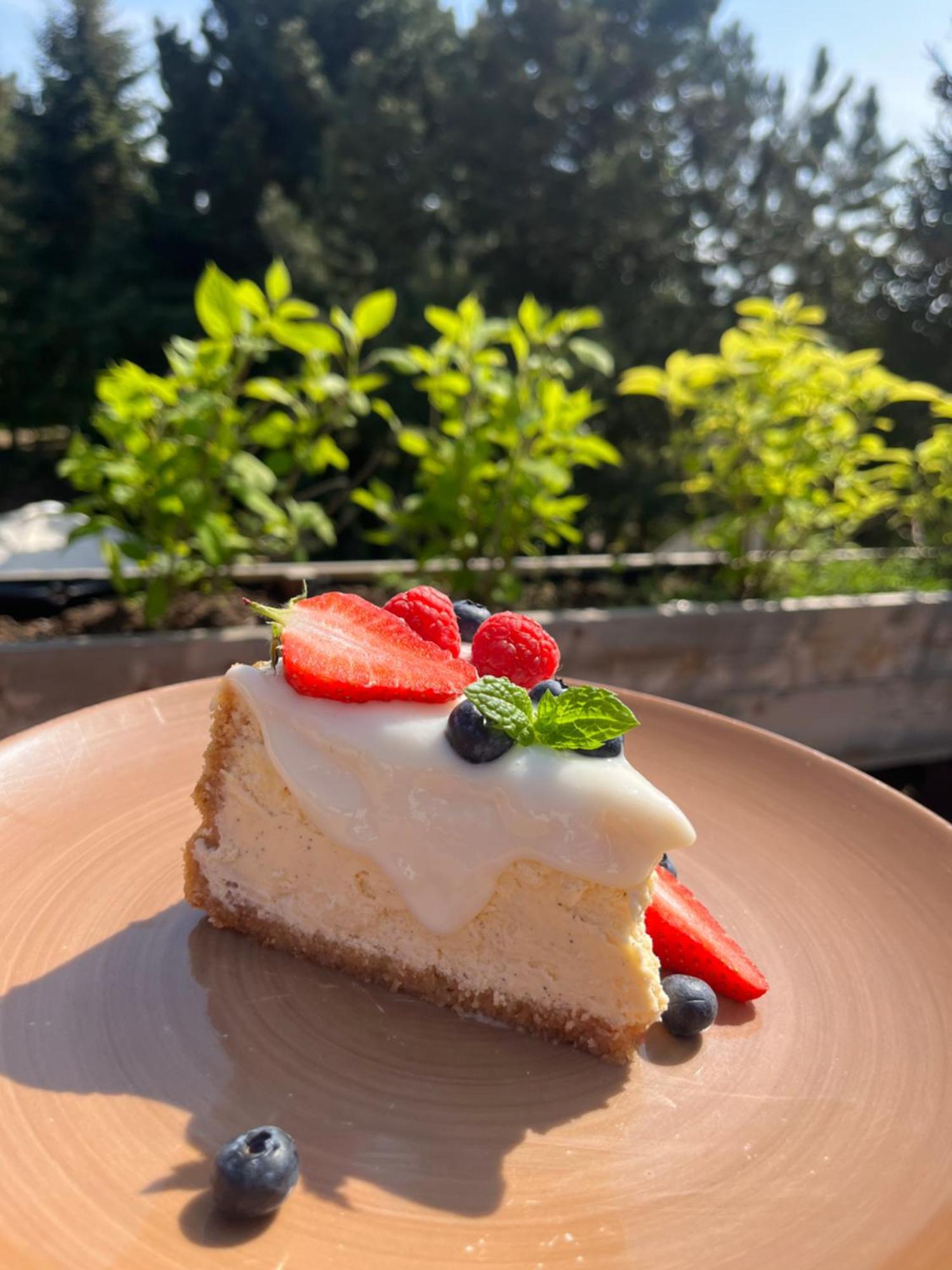 Hotel I Restauracja Czarny Kos Borkowo  Εξωτερικό φωτογραφία